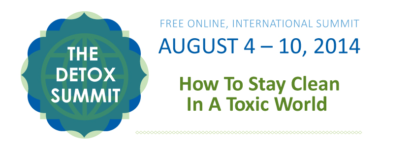 2014 Detox Summit flyer