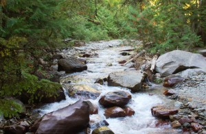 Bubbling brook