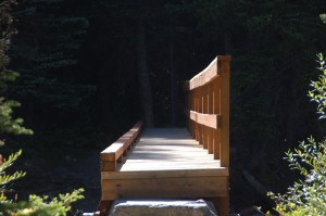 Holistic Psychotherapy